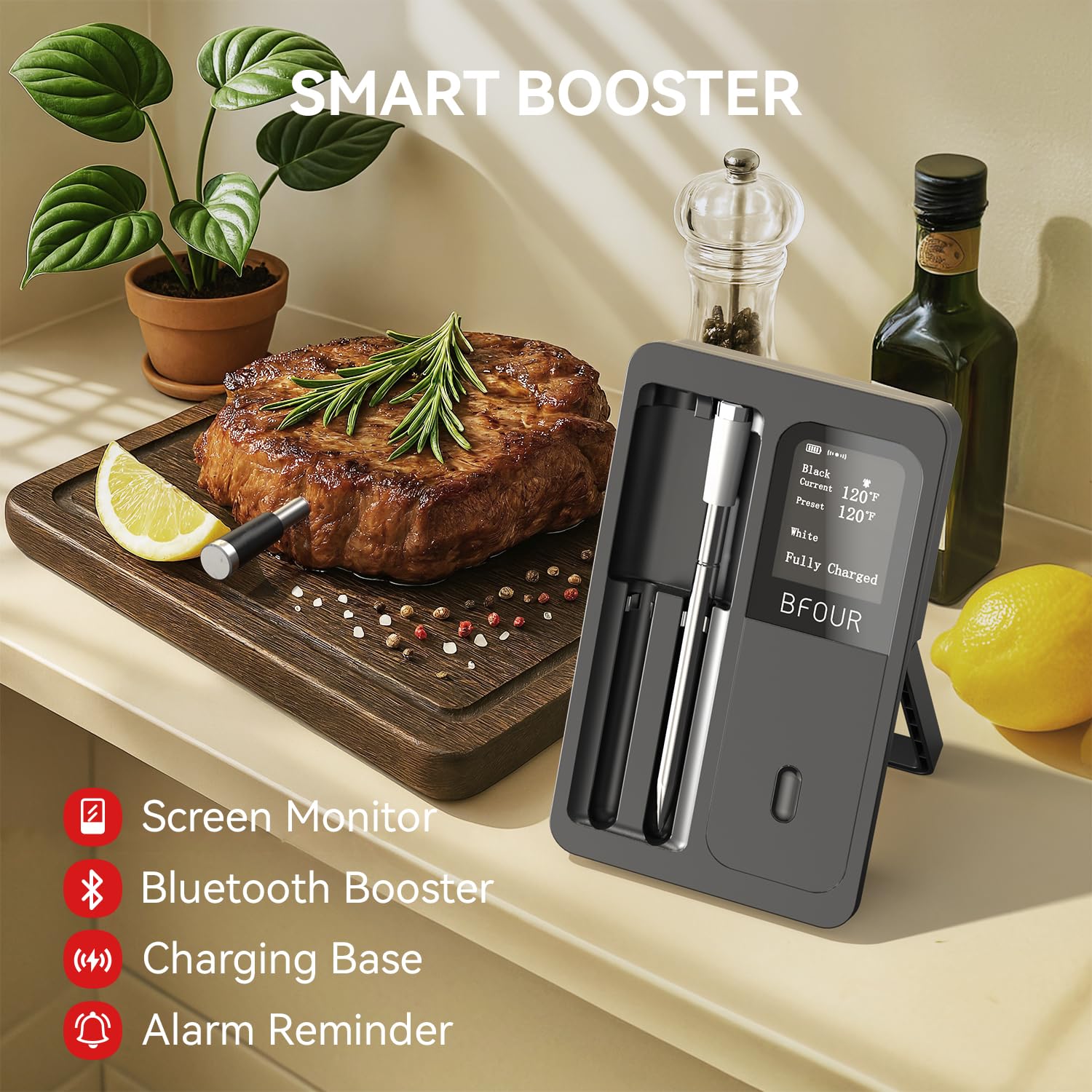 Wireless Meat Thermometer Blue - Kitchen Appliances Video ulasan dan harga