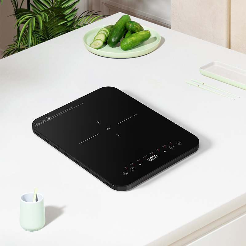 Dual heat dissipation inductio - Induction Cooktop Portable ulasan dan harga