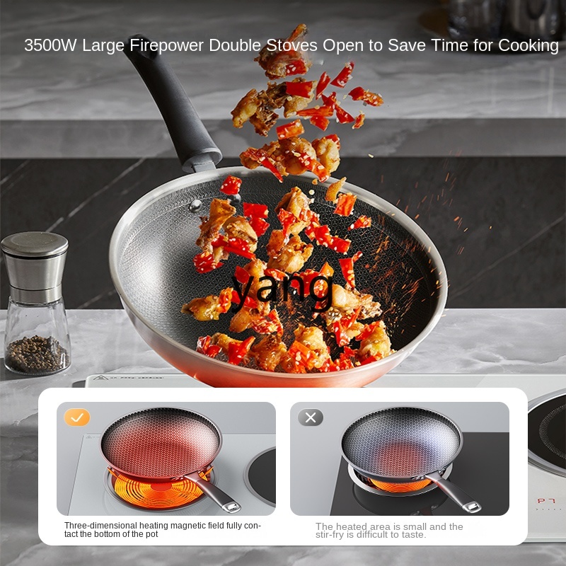 LMM Double Burner Embedded Hou - Induction Cooker ulasan dan harga