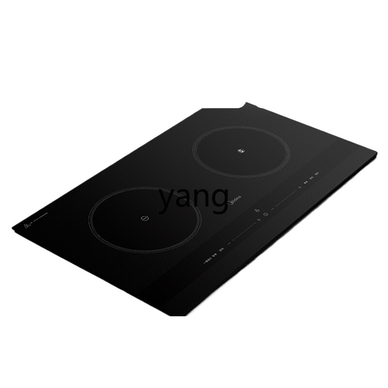 CX  induction cooker double st - Induction Cooker ulasan dan harga