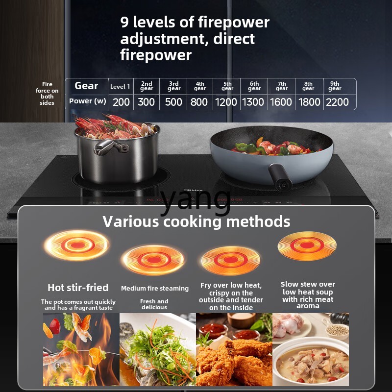 CX  induction cooker double st - Induction Cooker ulasan dan harga
