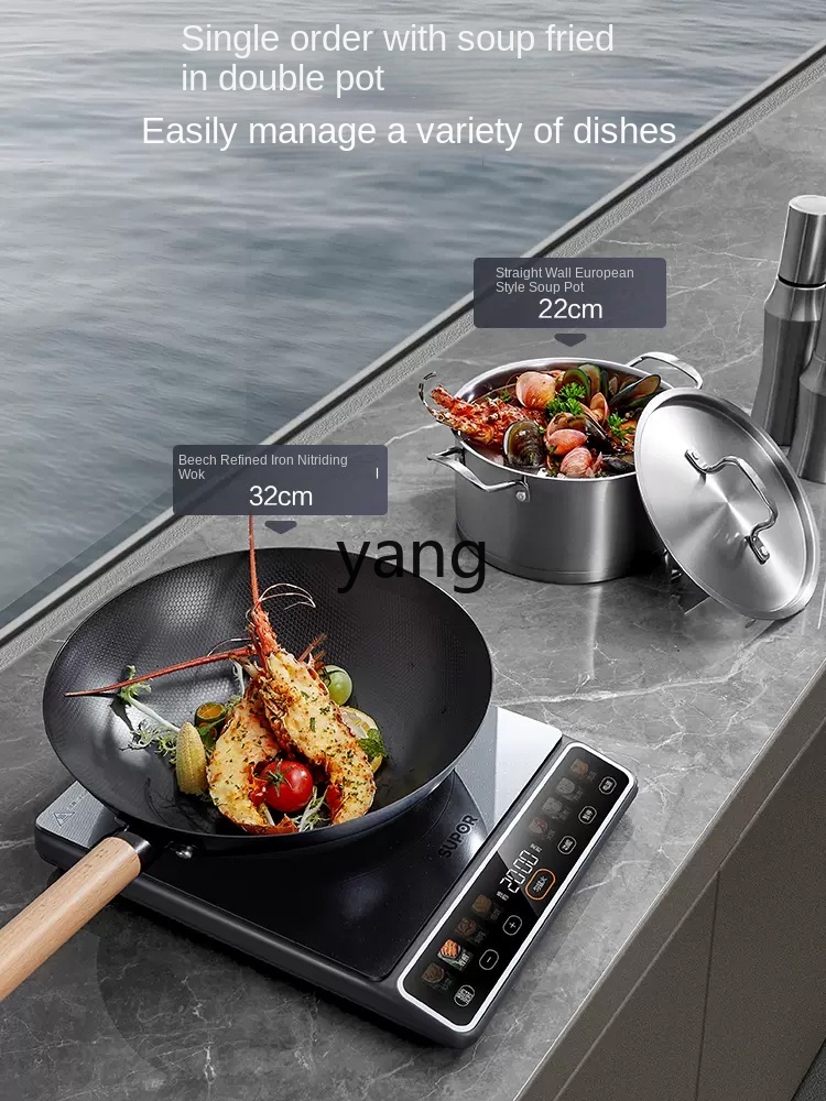 LMM High-Power 2200W Household - Induction Cooker ulasan dan harga